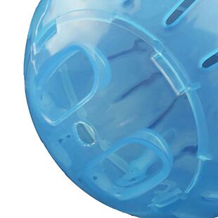 Pet Fitness Running Ball Plastic Solid Grounder Rodent
