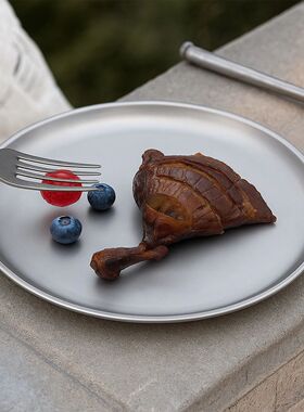 Titanium Purification Plate Portable Travel Tableware