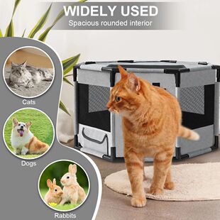 1000ml Plant Watering Can Stainless Steel Curved Mouth