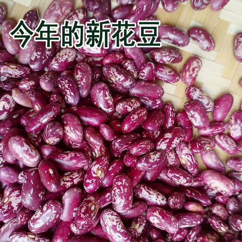 贵州花芸豆新四季豆新鲜干货饭豆云豆红芸豆红腰豆杂粮豆类