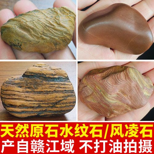 奇石天然原石风化石水纹石小把件