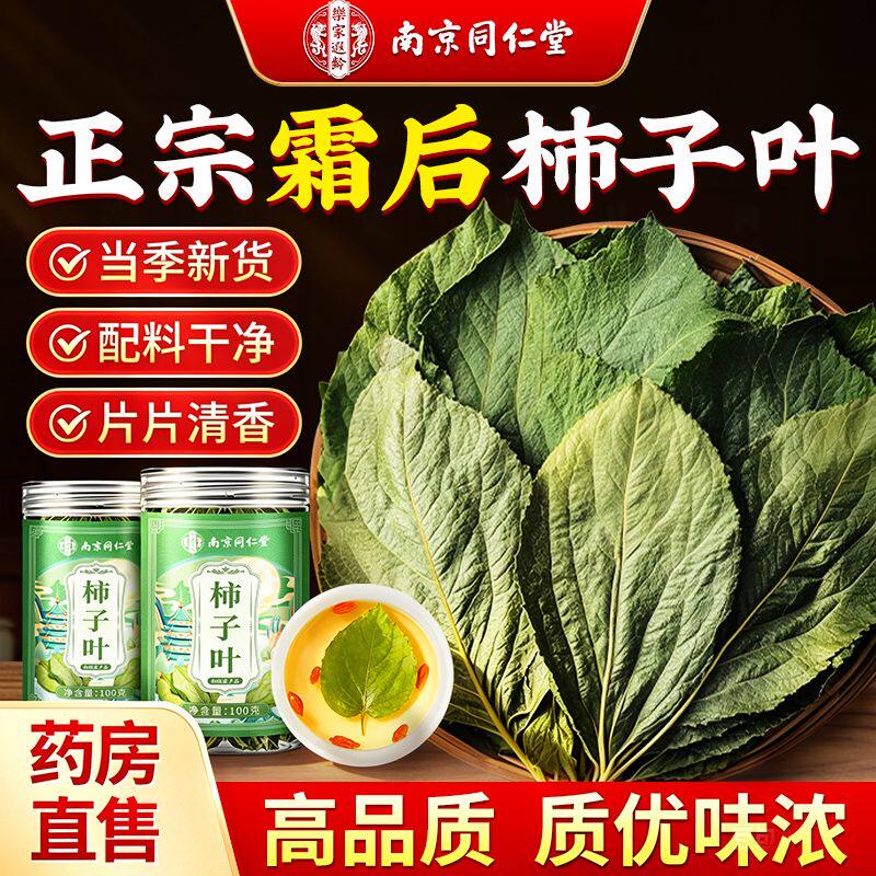 同仁堂高山霜后柿子叶养生茶新鲜