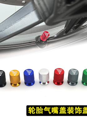 无极250 300 350 500 525AC/DS/R/RR/GY改装轮胎气门嘴防尘盖配件