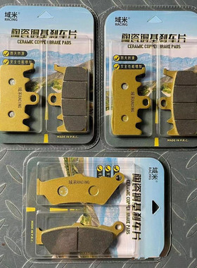 适用宝马R1200/1250GS水鸟ADV油鸟R/RS/RR R1100S前后刹车片R1150
