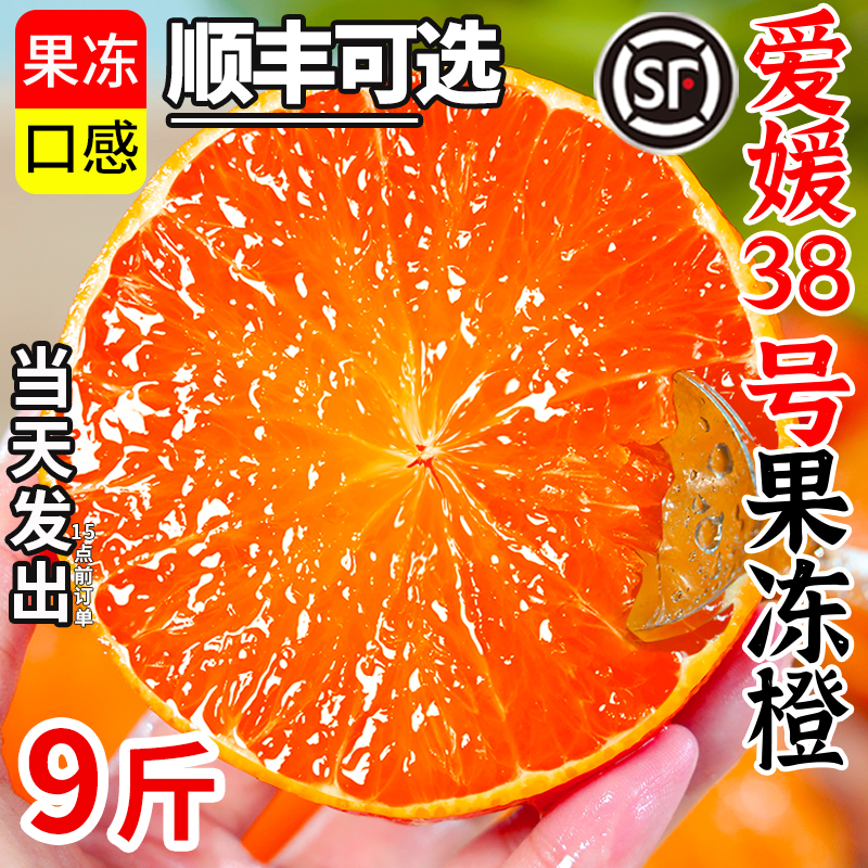 热卖推荐！爱媛38果冻橙，甜多汁