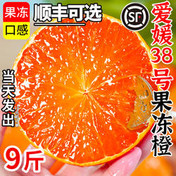 爱媛果冻橙38号橙子新鲜水果当季整箱5斤四川柑橘手剥官方旗舰店9