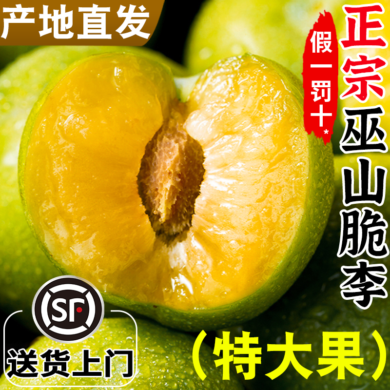 顺丰重庆巫山脆李脱骨李子四川5斤新鲜水果当季整箱孕妇青脆李土