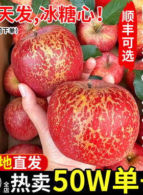 云南昭通丑苹果冰糖心苹果新鲜水果当季整箱脆甜红富士圣诞平安果