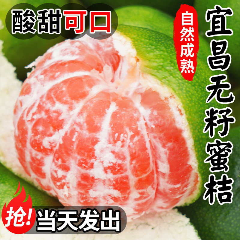 【热销爆款】宜昌无籽青皮蜜桔