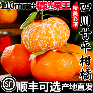 正宗四川甘平柑橘皇后顺丰新鲜甜蜜桔送大水果年货礼盒耙耙粑粑