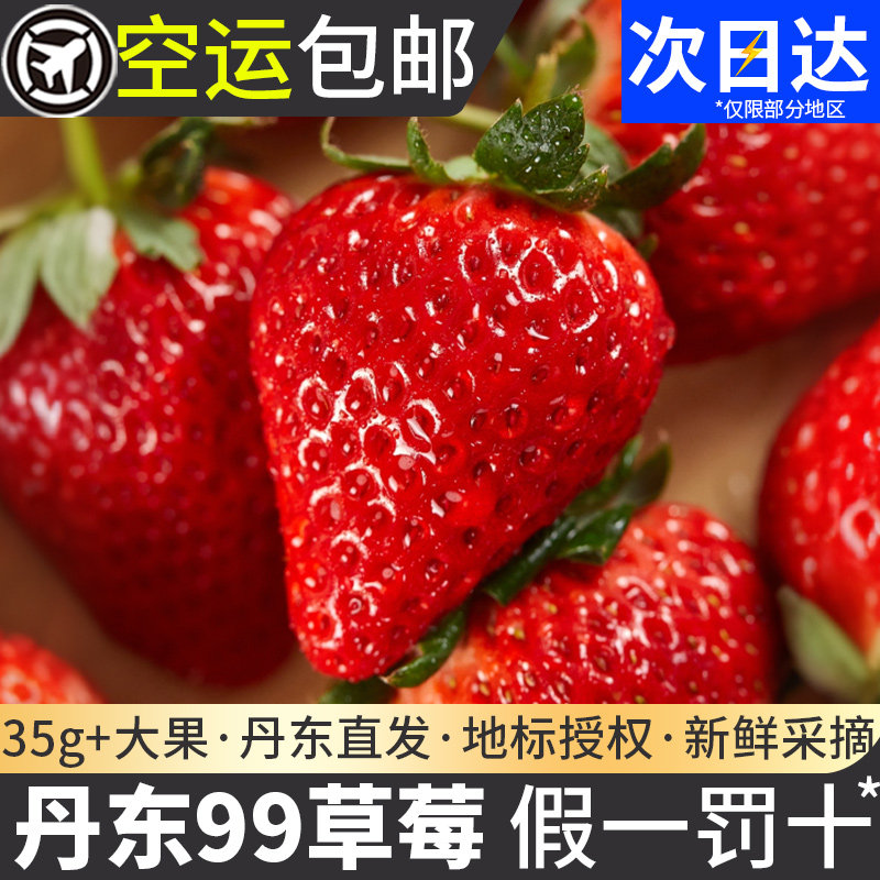 正宗丹东草莓99新鲜红颜东港牛奶奶油当季九九大草莓年货水果礼盒,水产肉类/新鲜蔬果/熟食,草莓,淘宝优惠券,粉丝福利购,淘宝优惠卷