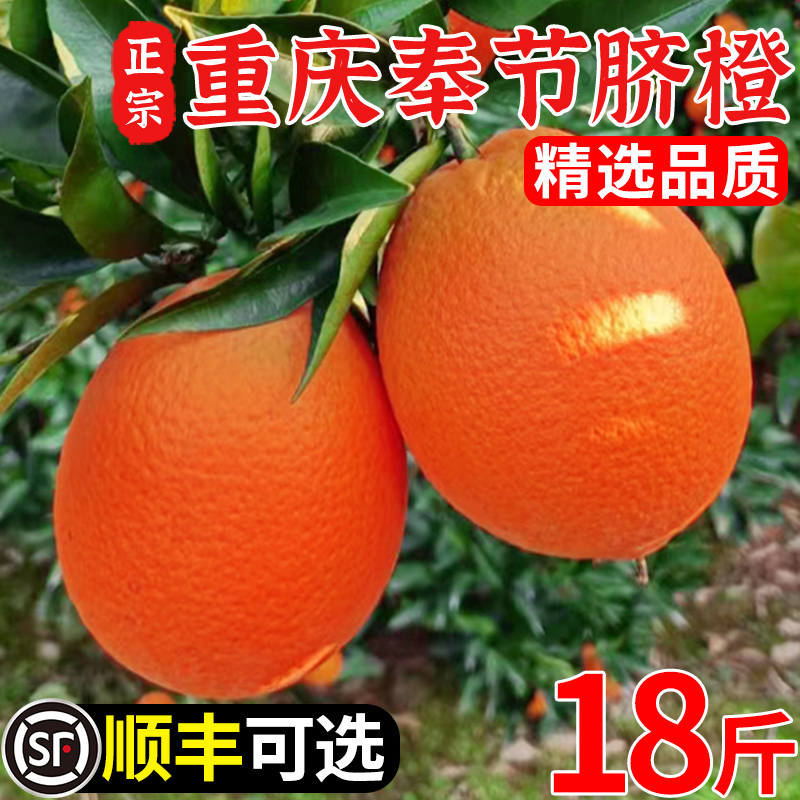 重庆奉节脐橙现摘当季新鲜水果整箱18斤正宗脐橙纽荷尔旗舰店直发