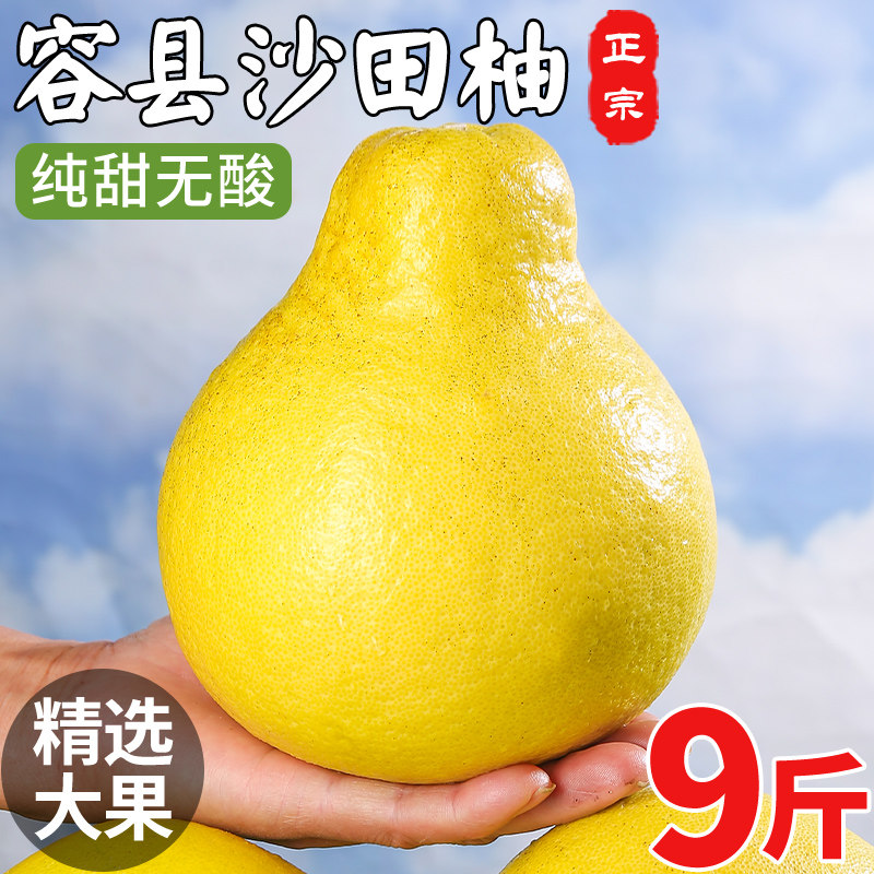 正宗广西容县沙田柚新鲜当季整箱水果正宗纯甜白心蜜柚包邮18