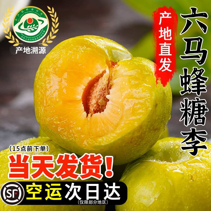 正宗贵州六马蜂糖李子新鲜当季水果镇宁蜂蜜李顺丰礼盒