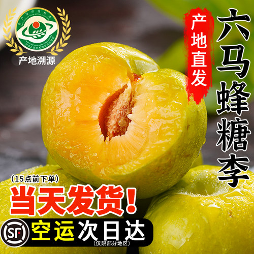 【顺丰空运】正宗六马蜂糖李