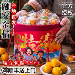 顺丰正宗广西融安金桔新鲜水果独立礼盒装脆甜大蜜金柑官方旗舰店