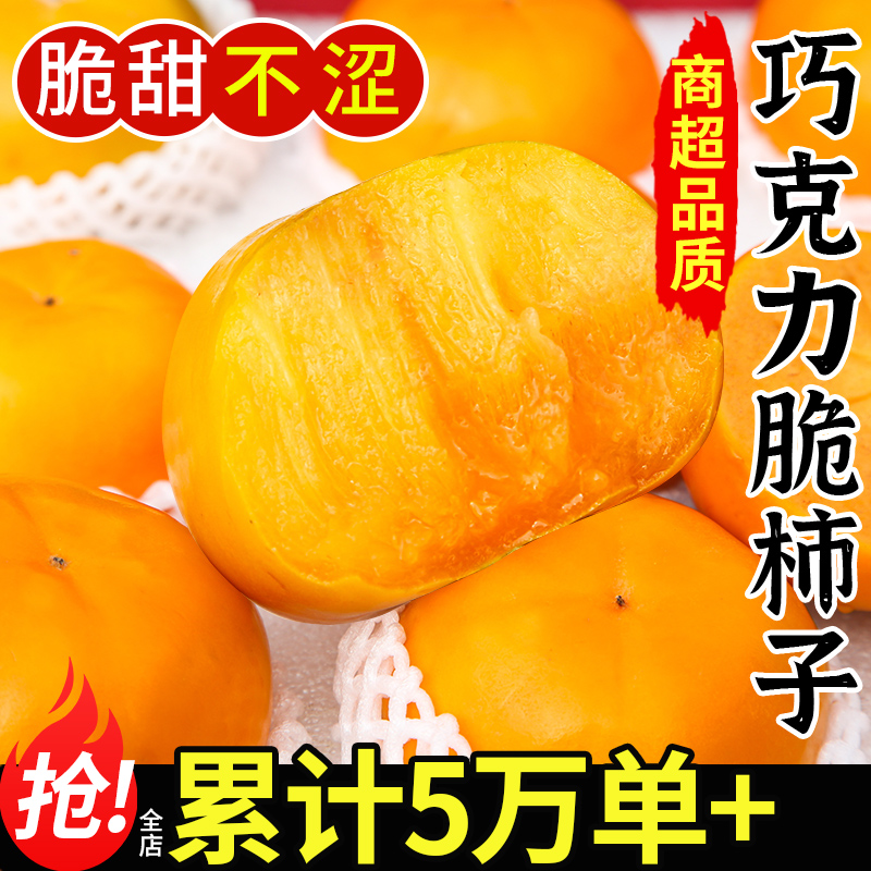 当天发出丨巧克力脆柿丨好吃不涩