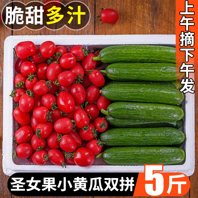 圣女果新鲜水果黄瓜5斤千禧小番茄西红柿新鲜生吃自然熟当季蔬菜在类目 水产肉类/新鲜蔬果/熟食, 新鲜蔬菜/蔬菜制品, 新鲜蔬菜, 其它中 - 来自Buy2taobao.com提供专业的淘宝代购服务