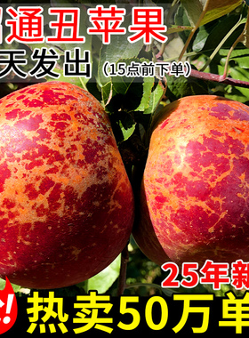 云南昭通丑苹果冰糖心苹果新鲜水果当季整箱脆甜红富士圣诞平安果