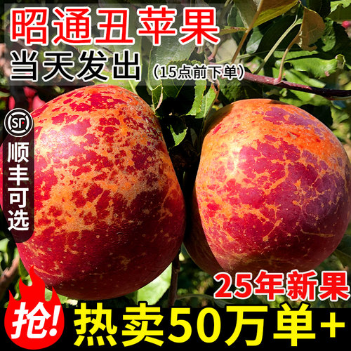 昭通糖心丑苹果|当天发|官方推荐