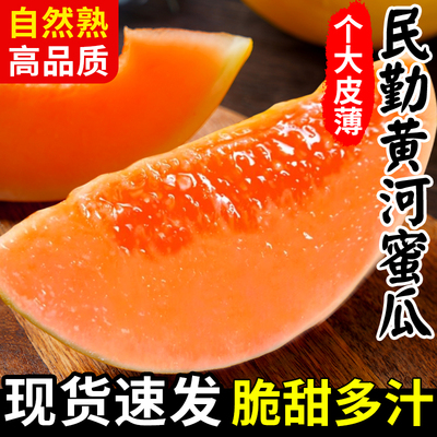 热销爆款民勤蜜瓜黄金甜瓜