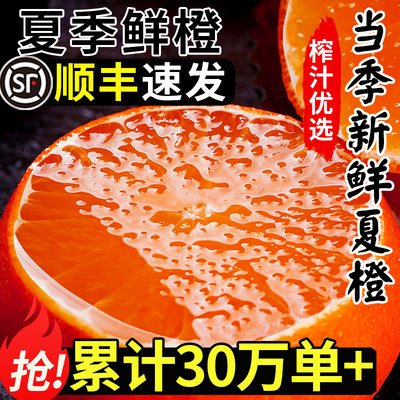 【官方推荐】秭归夏橙丨顺丰
