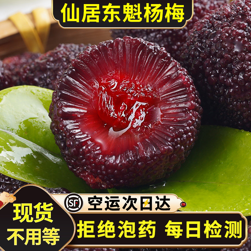 【不泡药】浙江仙居东魁杨梅鲜果当季新鲜水果端午礼盒顺丰空运