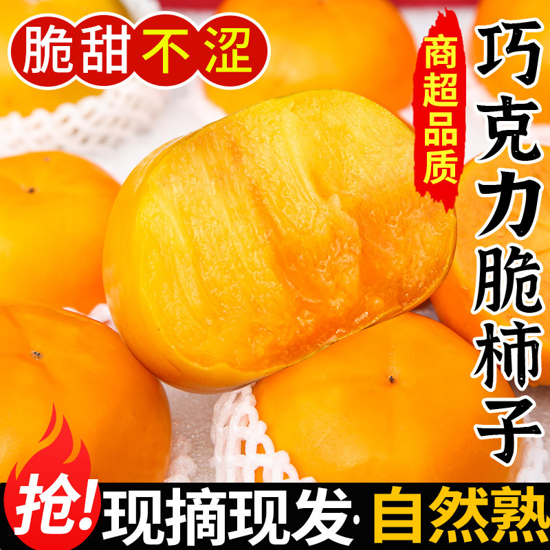 现货速发丨巧克力脆柿丨好吃不涩