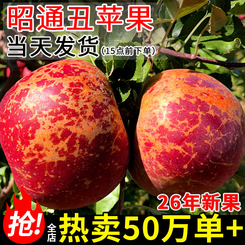 云南昭通丑苹果冰糖心苹果新鲜水果当季整箱脆甜红富士苹果