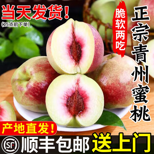 【顺丰包邮】正宗青州蜜桃