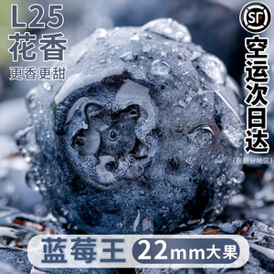 高山云南蓝莓现摘顺丰孕妇高端整箱当季新鲜水果怡颗脆甜蓝梅正宗
