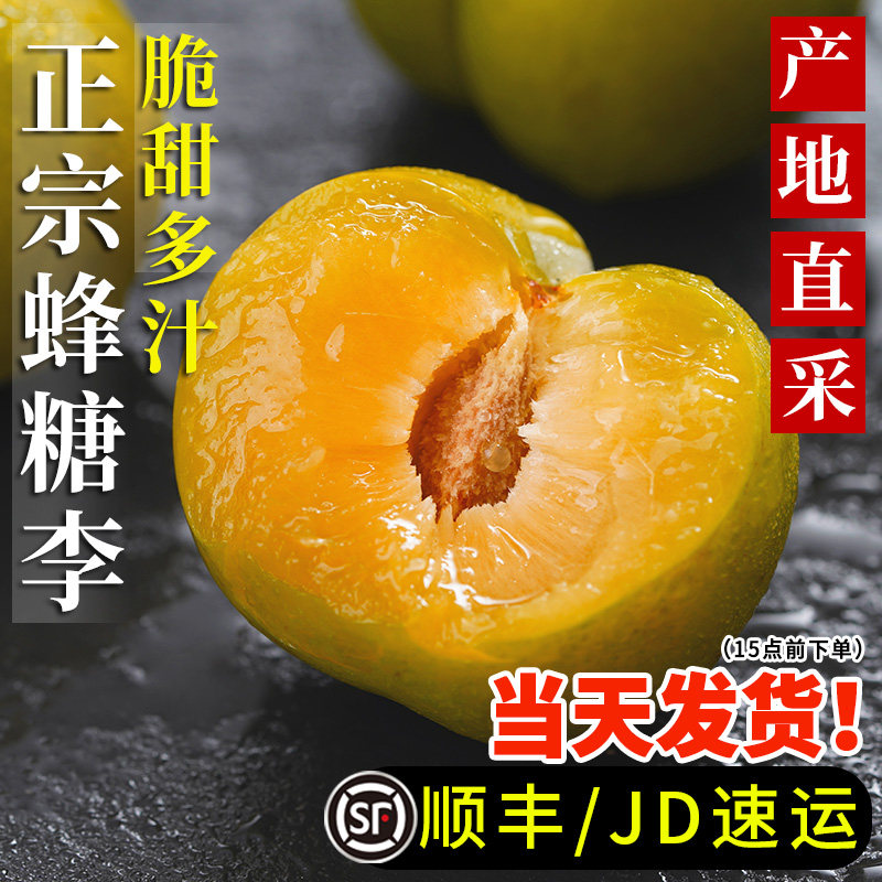 正宗贵州蜂糖李新鲜李子当季水果脆甜四川蜂蜜李整箱包邮 - 实物图