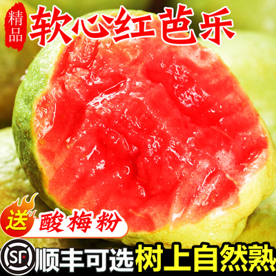 【软糯香甜】树上熟红芭乐