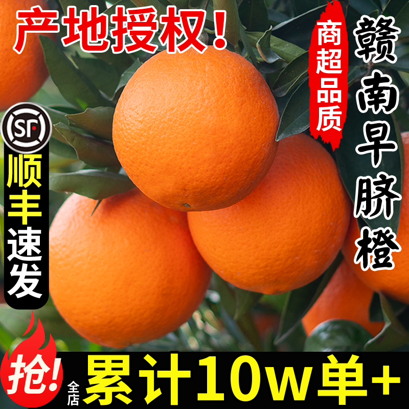 顺丰速发·正宗赣南脐橙