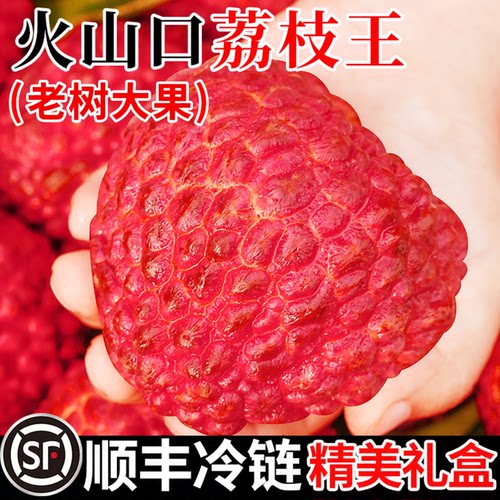 【顺丰送上门】荔枝王超大荔枝