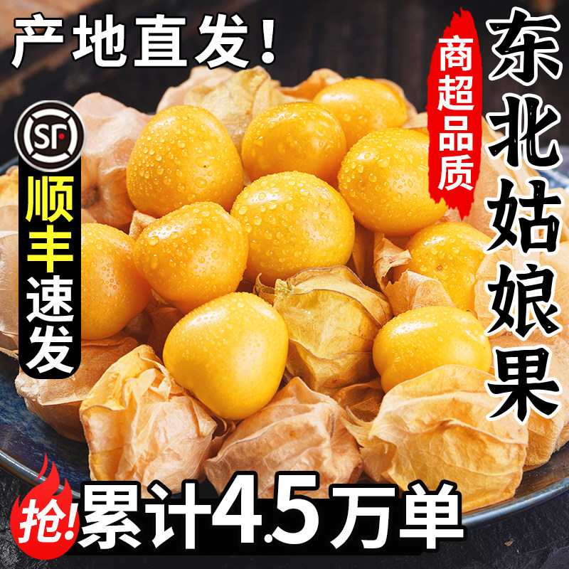 顺丰东北姑娘果5斤大果新鲜当季水果整箱特产灯笼果小金豆甜菇娘