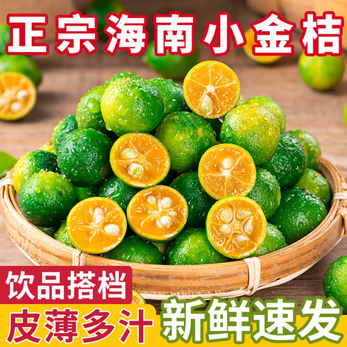 【奶茶店专用】海南小青柠小金桔