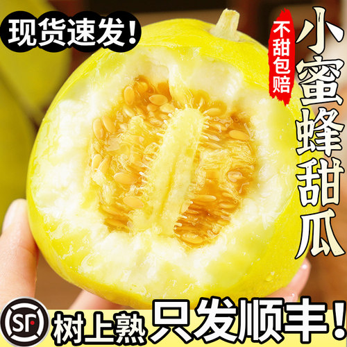 星甜20小蜜蜂甜瓜！不甜包赔