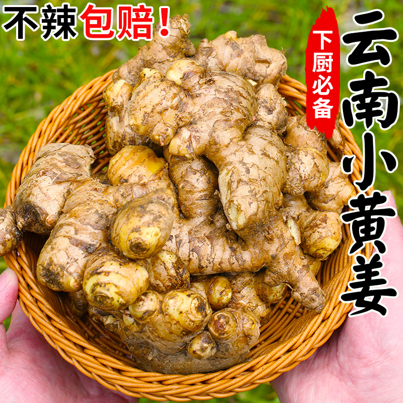 正宗云南小黄姜九斤新鲜蔬菜生姜老姜批发高山现挖沙姜嫩姜罗平10