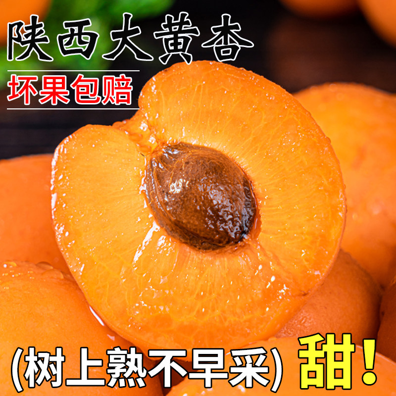 杏子现摘陕西大黄杏现货水果新鲜整箱时令酸甜杏斤凯特孕妇10