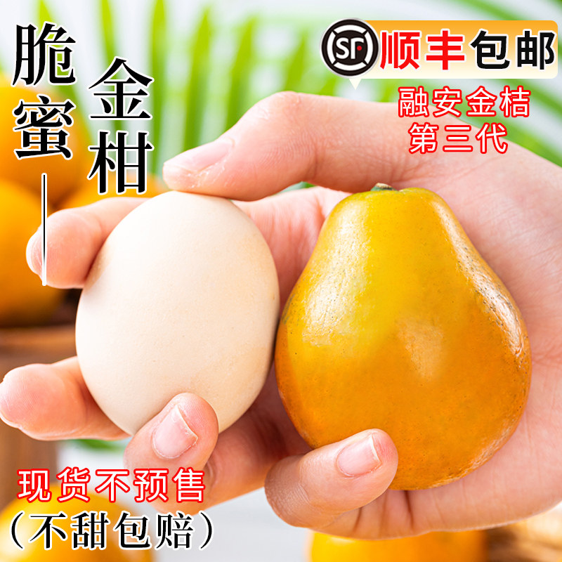 脆蜜金柑第三代广西融安金桔鲜果新鲜水果5斤礼盒桔子橘子皮脆滑