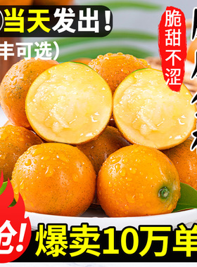 广西融安脆皮金桔鲜果10斤小金橘子应当季新鲜水果蜜金柑整箱包邮