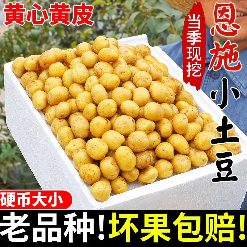 农家恩施现挖新鲜小土豆