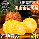 整箱手撕凤梨非菠萝砖精选 海南金钻凤梨新鲜水果树上熟应当季