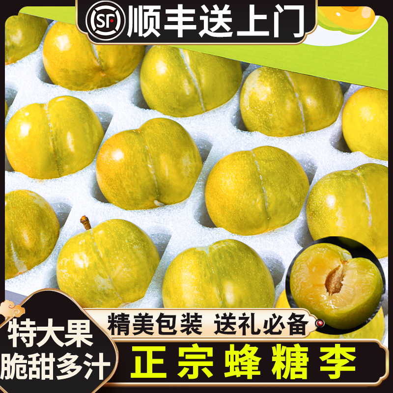 正宗蜂糖李顺丰速发新鲜直达