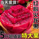 包郵 紅肉密寶水果 廣西金都一號紅心火龍果5斤整箱大果新鮮當季