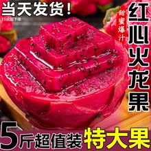 广西金都一号红心火龙果5斤整箱大果新鲜当季红肉密宝水果包邮10