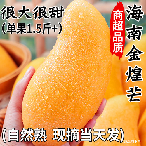 正宗海南金煌芒，自然熟，精选果