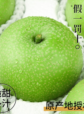 正宗安徽砀山翠冠梨子9斤水果新鲜当季整箱翠玉青梨产地直发官方