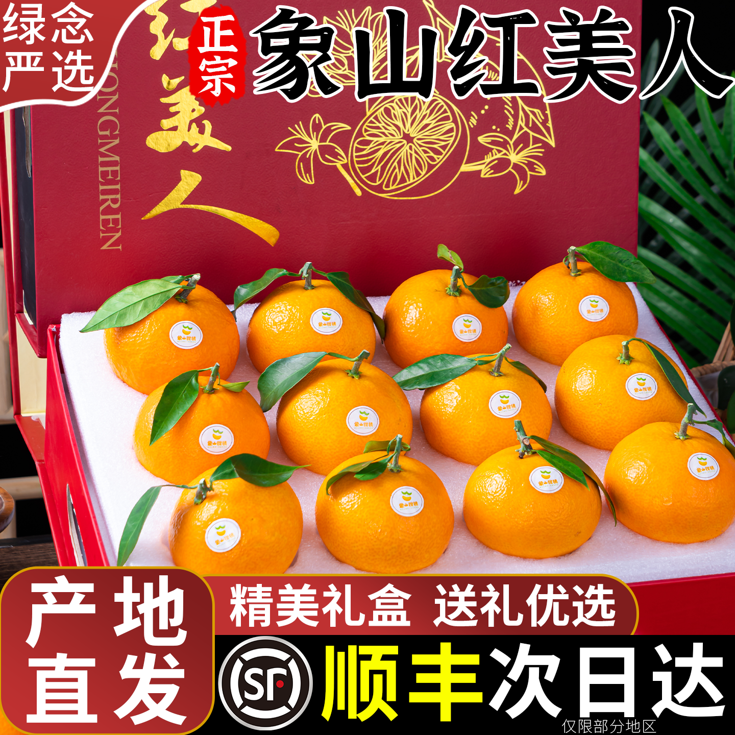 正宗象山红美人柑橘橙子